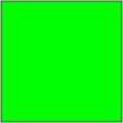 Floro Green (47)